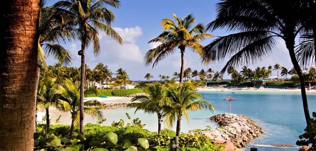 Tropische Bucht mit Palmen auf den Bahamas