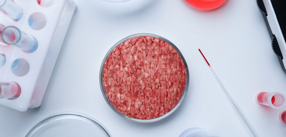 Auf einem weißen Tisch mit Laborutensilien liegt eine Schale mit Laborfleisch