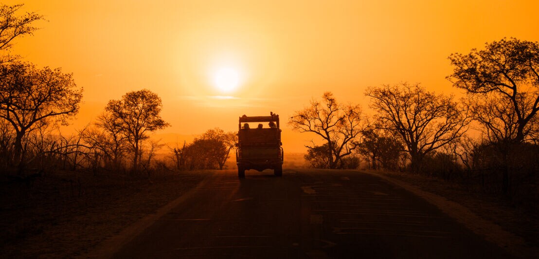 Silhouette eines Safarifahrzeugs, das auf einer Straße durch die Savanne im Sonnenuntergang fährt