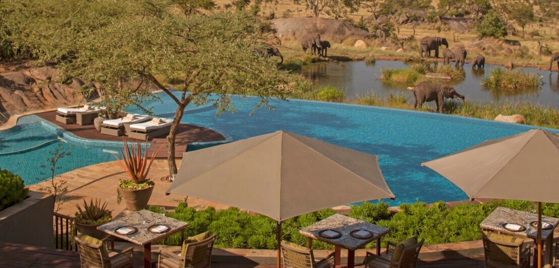 Terrasse einer luxuriösen Lodge mit Swimmingpool an einem Wasserloch mit Elefanten in der Savanne