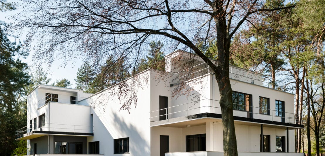 Ein weißes Doppelhaus im Bauhaus-Stil umgeben von Bäumen