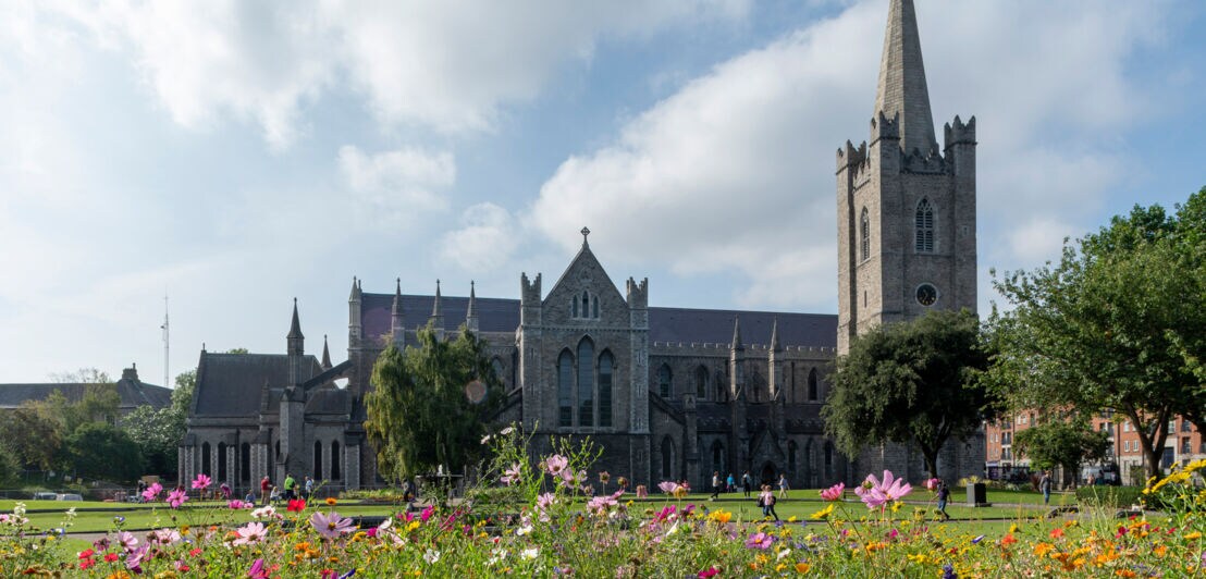 Die Saint Patrick’s Cathedral mit einer Blumenwiese im Vordergrund