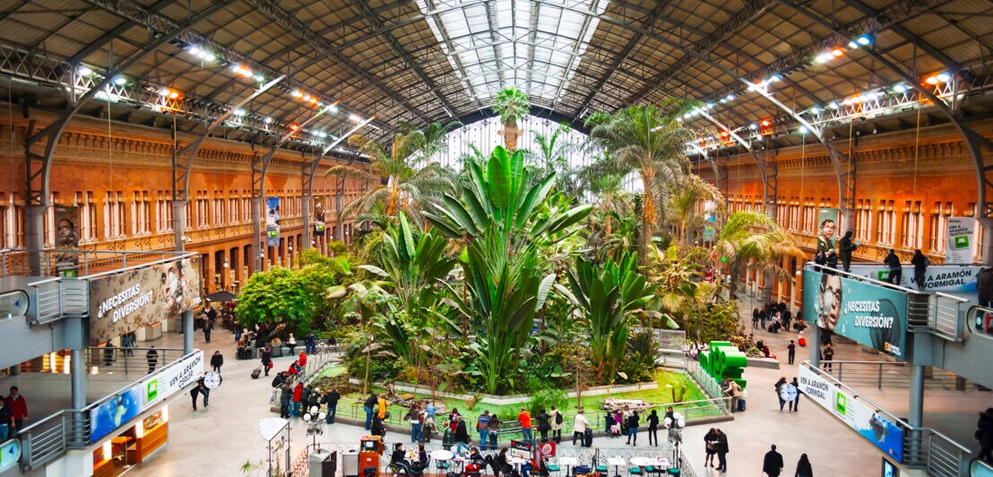 Aufnahme des botanischen Gartens mitten im Bahnhof Atocha aus der Vogelperspektive. 