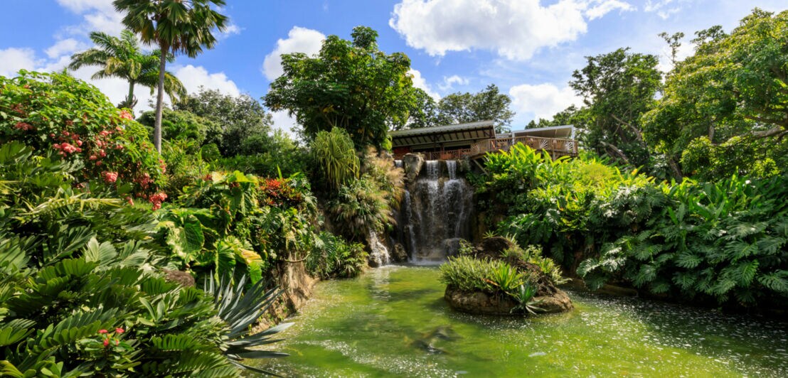 Botanischer Garten mit tropischer Vegetation um einen Teich mit Wasserfall