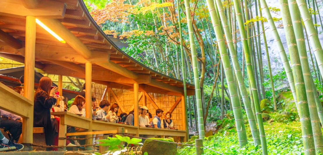 Menschen sitzen mit Blick auf Bambus am hölzernen Tresen eines Tempels und trinken Tee