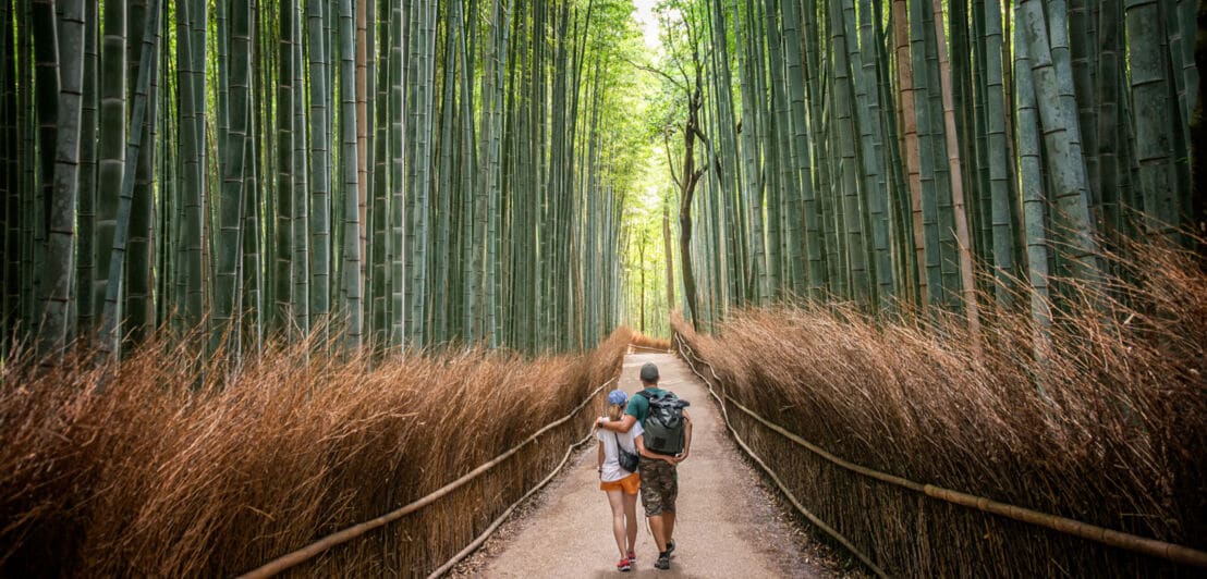 Rückansicht eines sich umarmenden Paares mit Rucksäcken, die auf einem Weg durch einen Bambushain laufen