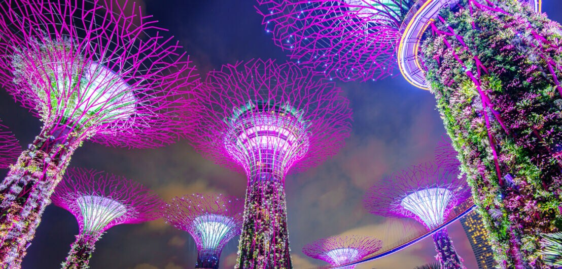 Beleuchtete vertikale Gärten an riesigen, künstlichen Baumskulpturen im Supertree Grove in Singapur bei Nacht
