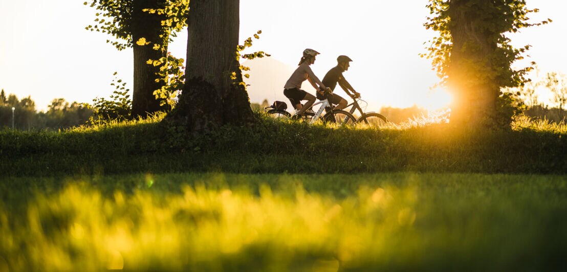 Zwei Menschen auf Rädern fahren im Licht der Morgensonne eine Alle entlang