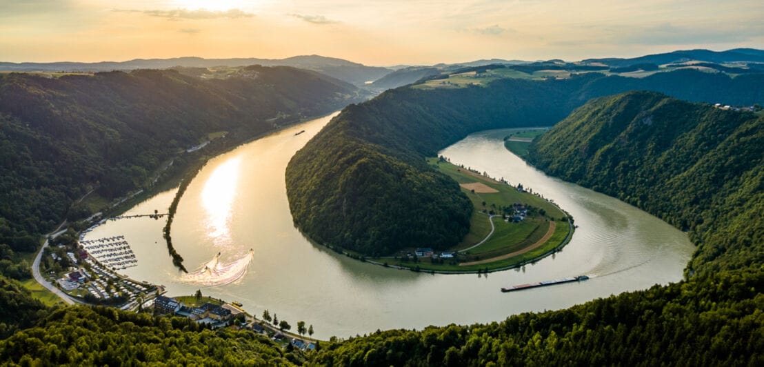 Blick auf die Schlögener Donauschlinge