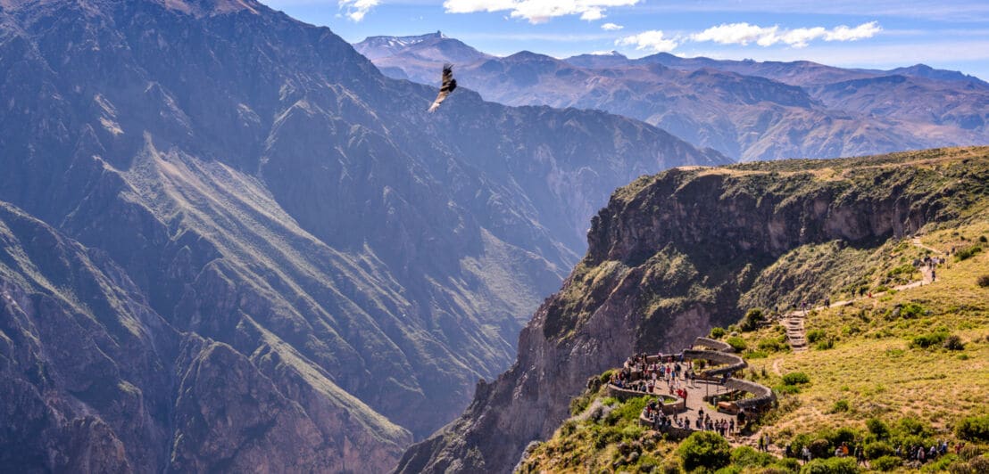 Bergpanorama des Colca Canyon mit Menschen auf einer Aussichtsplattform, über die ein Andenkondor fliegt