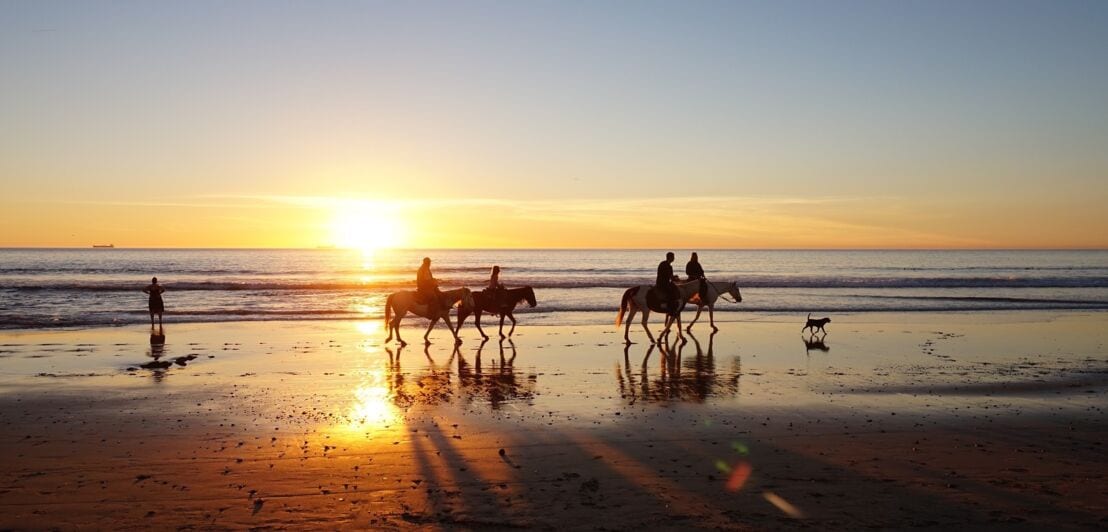 Eine Gruppe Reiter samt Hund am Strand bei Sonnenuntergang