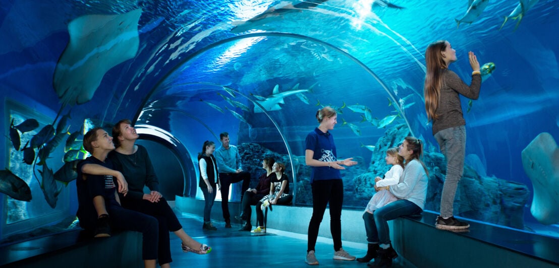 Mehrere Personen betrachten aus einem Unterwassertunnel Fische in einem Aquarium