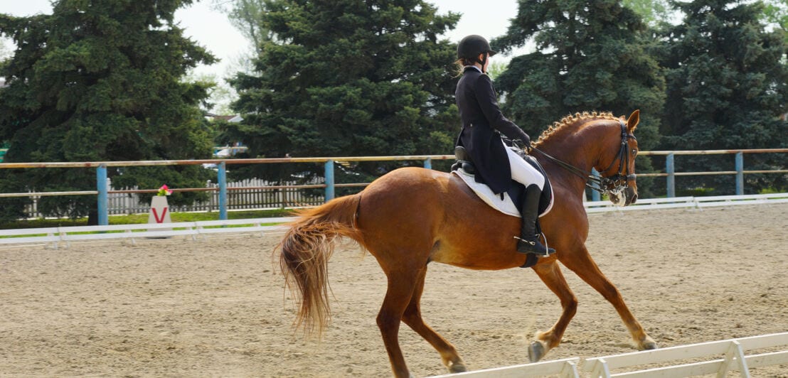Eine Reiterin reitet auf einem braunen Pferd auf einem sandigen Platz