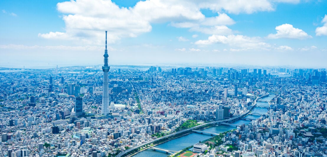 Panoramablick über Tokio