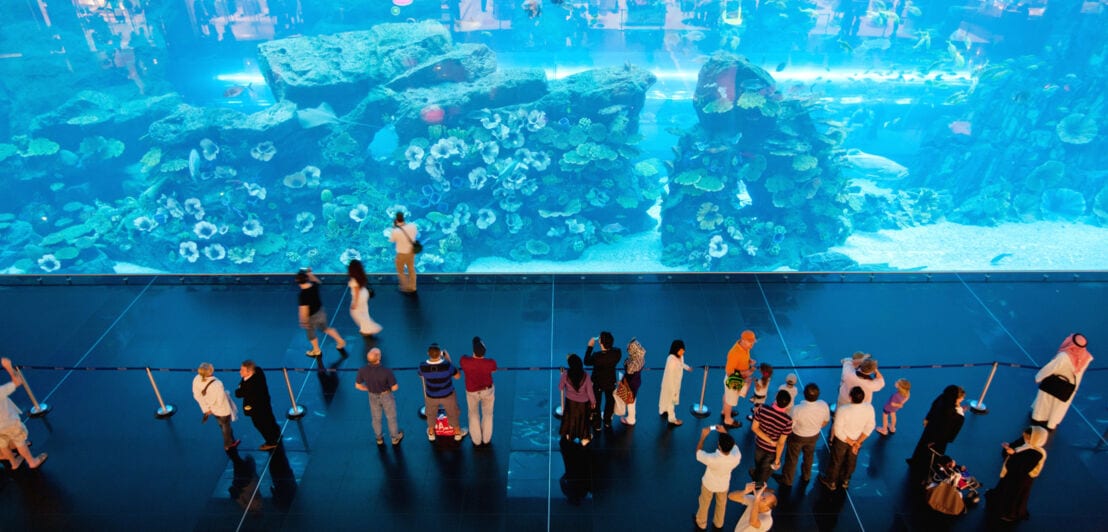Personen vor einem großen Aquarium