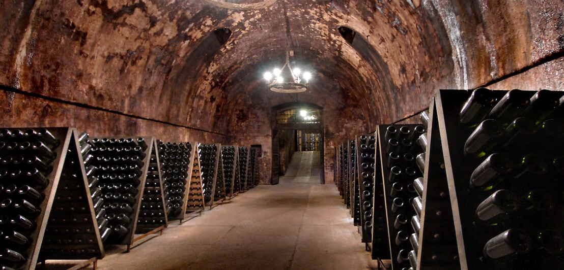 Tunnelförmiger Weinkeller mit gefüllten Weinregalen