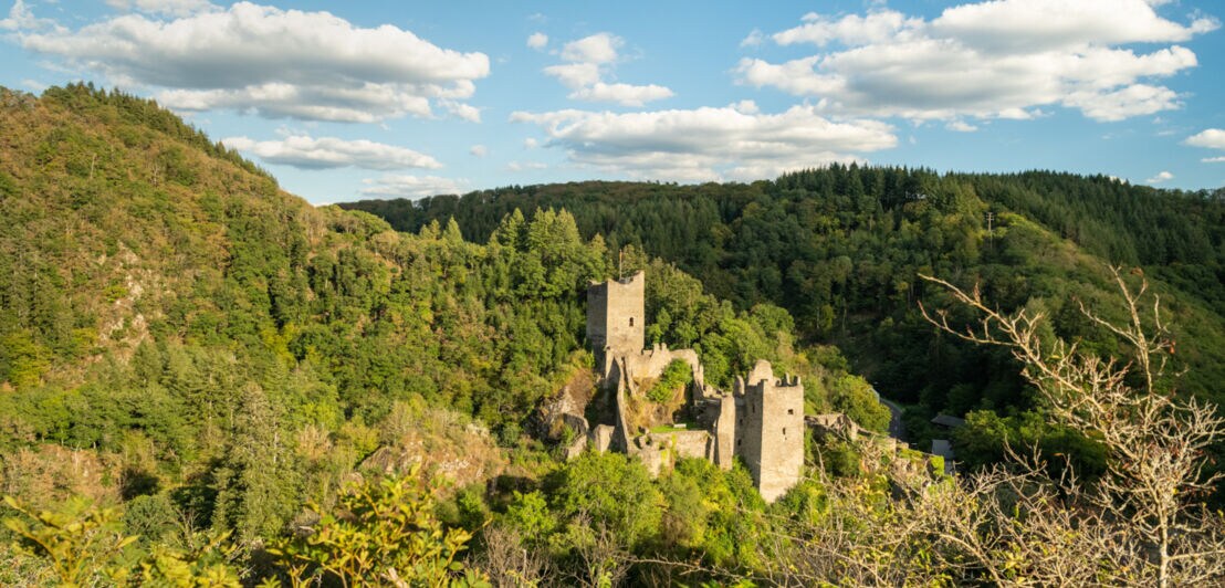 Eine mittelalterliche Burganlage in einer hügeligen Waldlandschaft