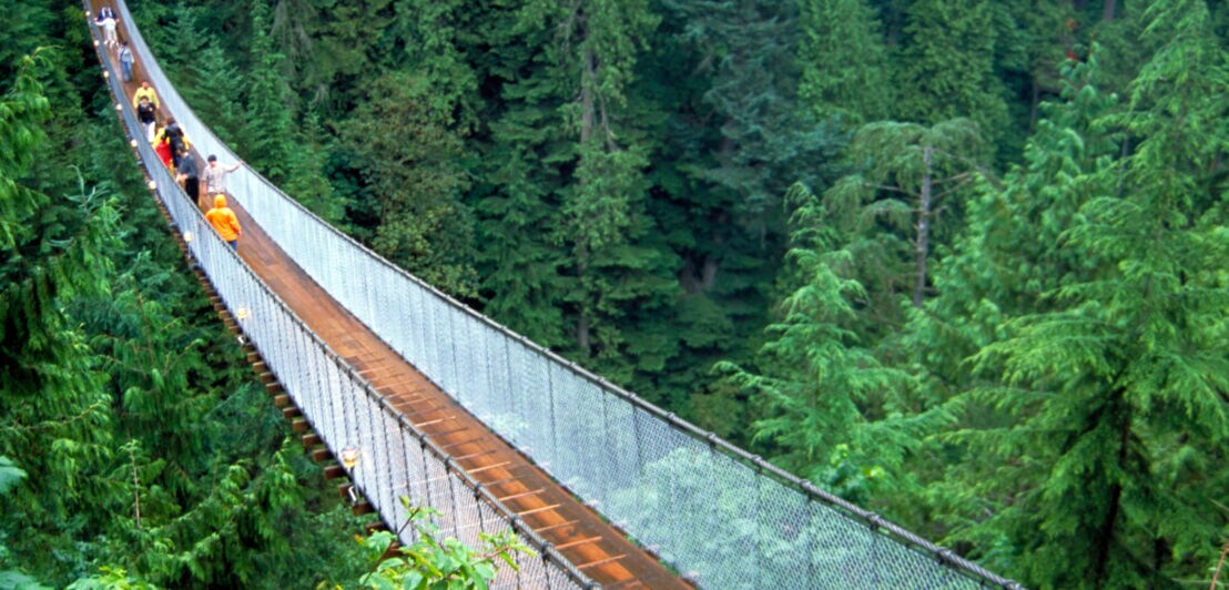 Personen laufen auf einer langen, schmalen Hängebrücke durch ein Waldgebiet.