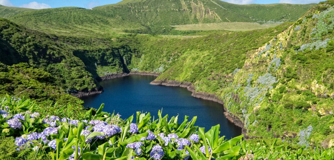 Grün bewachsene Hügellandschaft mit einem Bergsee mittig und fliederfarbenen Blumen im Vordergrund
