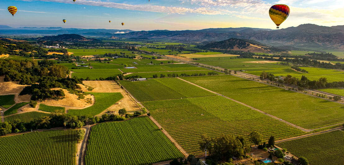 Heißluftballons fliegen über Weinanbaugebiet