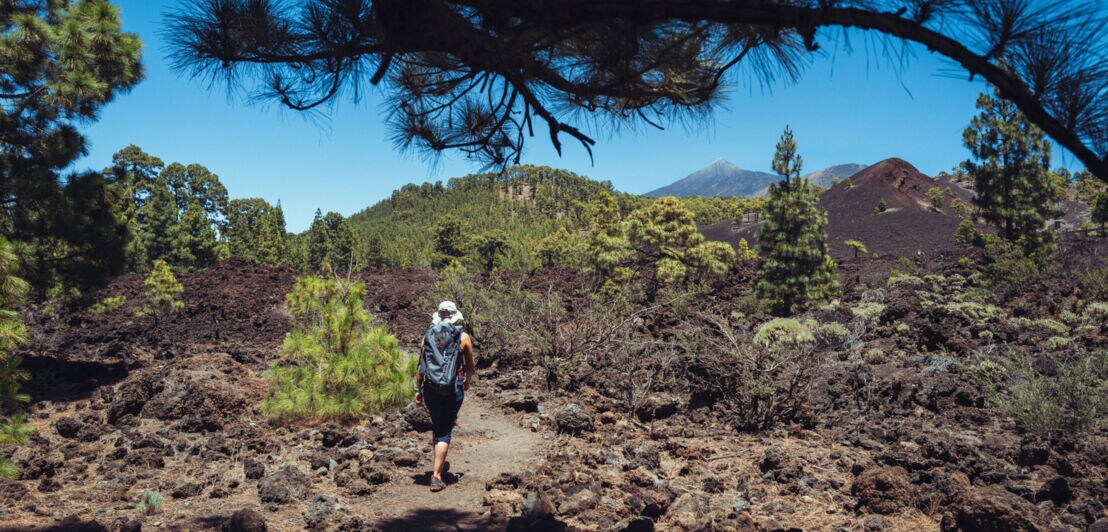 Eine Person mit Sonnenhut und Rucksack läuft durch eine Landschaft aus schwarzem Lavagestein mit vereinzelten Bäumen