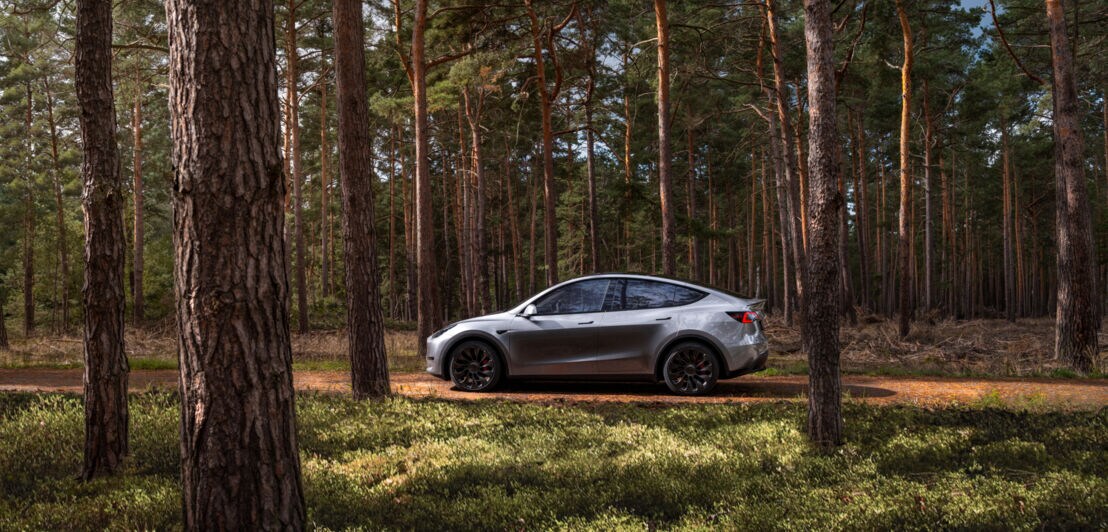 Ein Tesla Model Y steht auf einem Waldweg umgeben von Bäumen.
