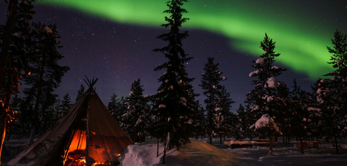 Grüne Polarlichter am Nachthimmel über einer winterlichen Landschaft mit schneebedeckten Bäumen und einem Tipi.