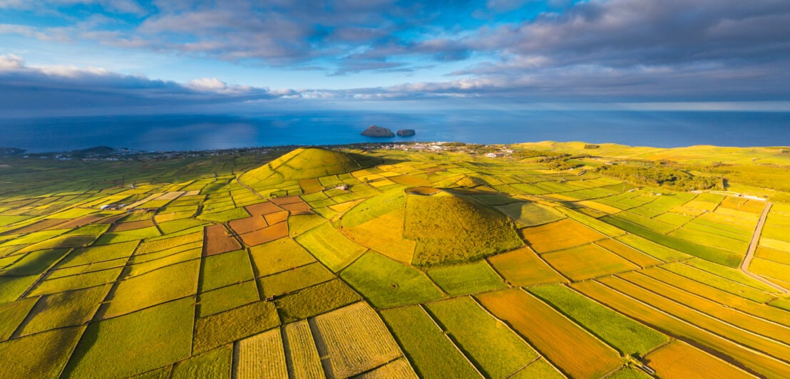 Grünes Landschaftspanorama mit landwirtschaftlichen Parzellen auf Vulkankratern am Meer.