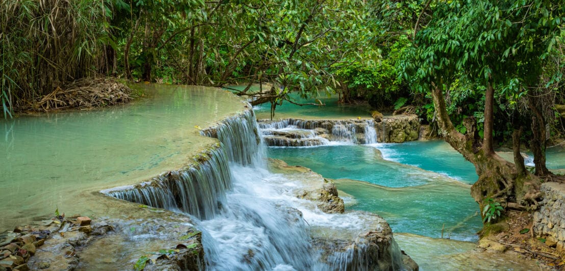 Eine Regenwaldlandschaft mit einem mehrstufigen Wasserfall.