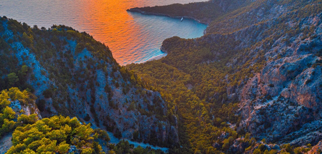 Panoramaaufnahme der Paradise Bay von oben, die von Wäldern und Felsen umgeben ist, bei Sonnenuntergang.