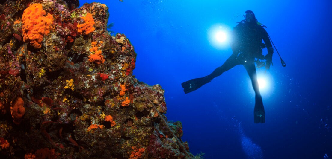 Ein Riff, das mit in oranger Farbe leuchtenden Korallen überzogen ist. Im Hintergrund schwimmt eine Person mit Taucherausrüstung und Lampe.