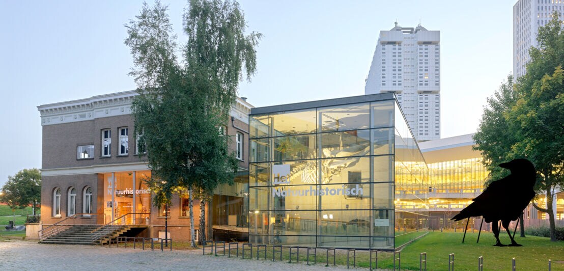 Ein beleuchteter Gebäudekomplex eines Naturkundemuseums mit Glaspavillon in dem ein Dinosaurierskelett hängt, daneben eine Grünfläche mit einer Skulptur in Vogelform.