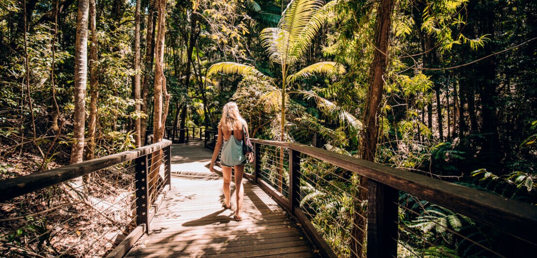 Rückenaufnahme einer Frau, die auf einem Holzsteg durch eine Regenwaldlandschaft läuft.