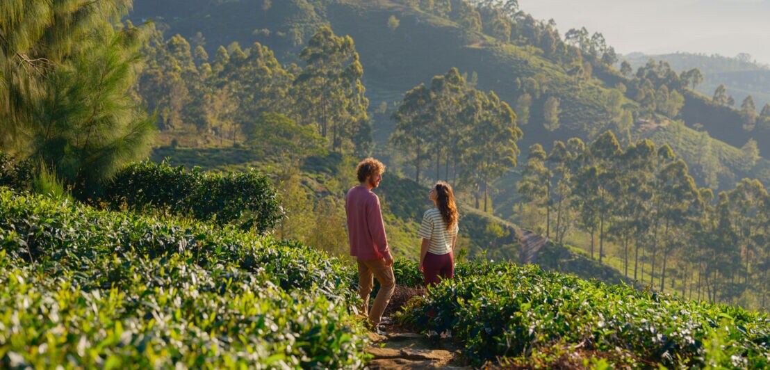 Ein Paar steht auf einer Teeplantage in einer Hügellandschaft.