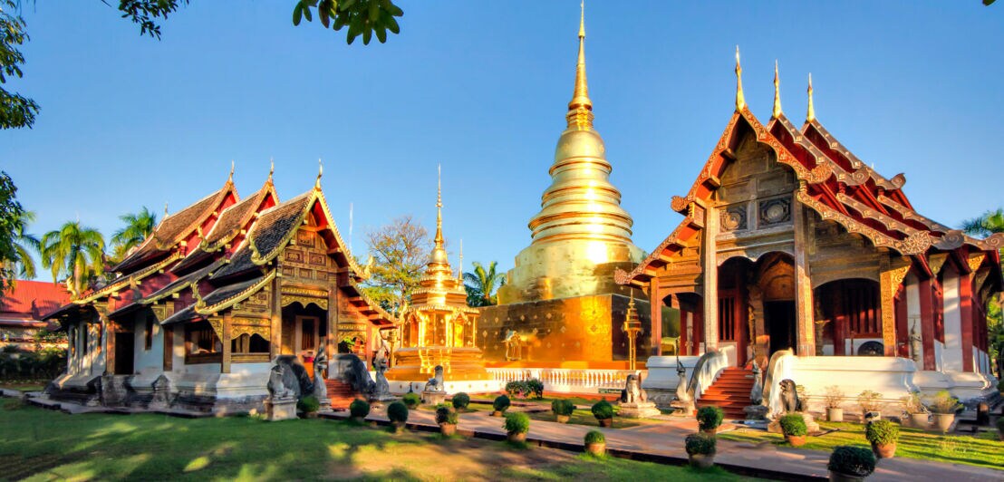 Buddhistische Tempelanlage mit goldenen Spitztürmen im warmen Sonnenlicht.