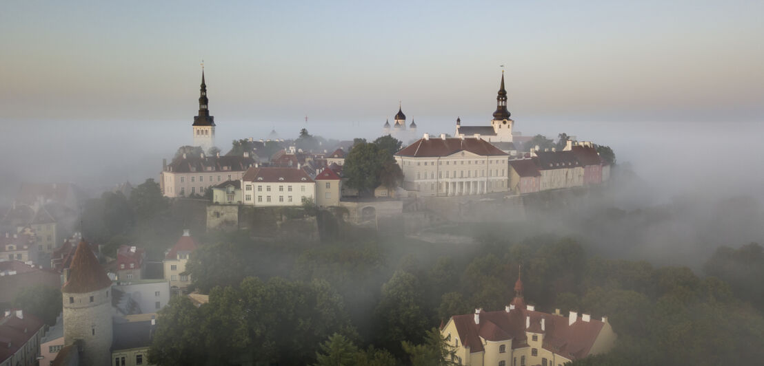 Blick auf rote Dächer und Kirchtürme der mittelalterlichen Altstadt von Tallinn.