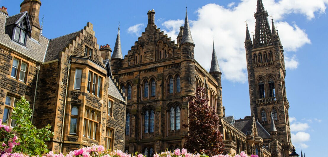 Viktorianische Häuserfassade mit pinkfarbenen Blumen im Vordergrund.
