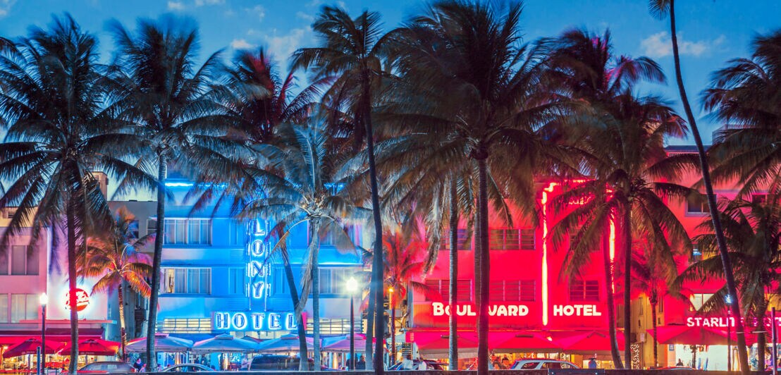 Bunt beleuchtete Häuserfronten am Ocean Drive in Miami mit Palmen im Vordergrund