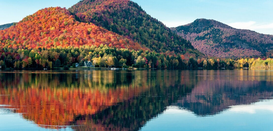 Herbstliche Waldlandschaft auf Hügeln an einem See.