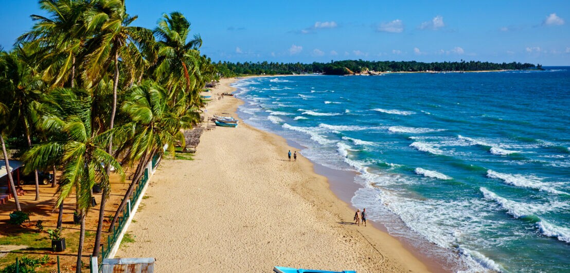 Palmengesäumter Sandstrand am Meer mit Wellengang.