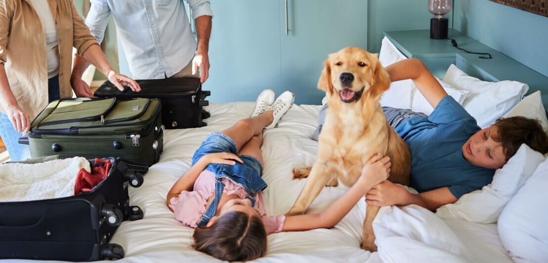 Zwei Kinder liegen mit einem Golden Retriever auf einem Hotelbett, daneben packen zwei Personen Koffer.