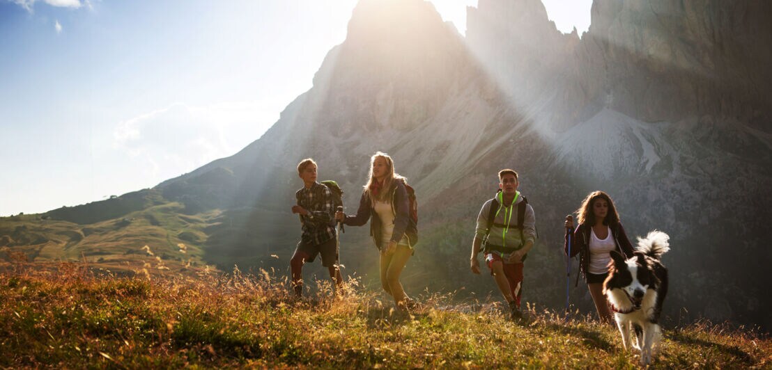 Vier Personen wandern mit einem Border Collie auf einer Wiese in den Bergen vor spitzen Felsformationen bei Sonnenschein.