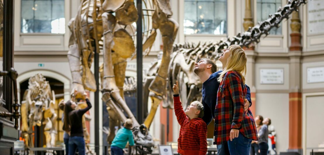 Familie mit zwei Kindern betrachtet Dinosaurierskelette in einem Museum mit hohen Fenstern und Säulen.