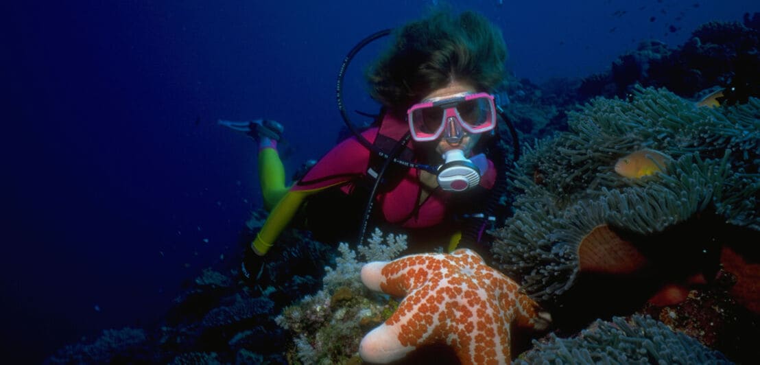 Taucherin mit rosa Tauchmaske und Atemgerät erkundet ein Korallenriff mit einem großen orange-weißen Seestern