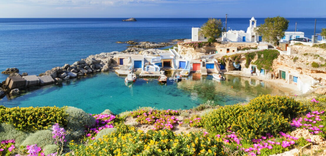 Kleine runde Hafenbucht mit Fischerbooten im türkisblauen Wasser vor Bootshäusern mit bunten Türen in einem Felsen, im Vordergrund blühende Büsche auf einer Anhöhe.