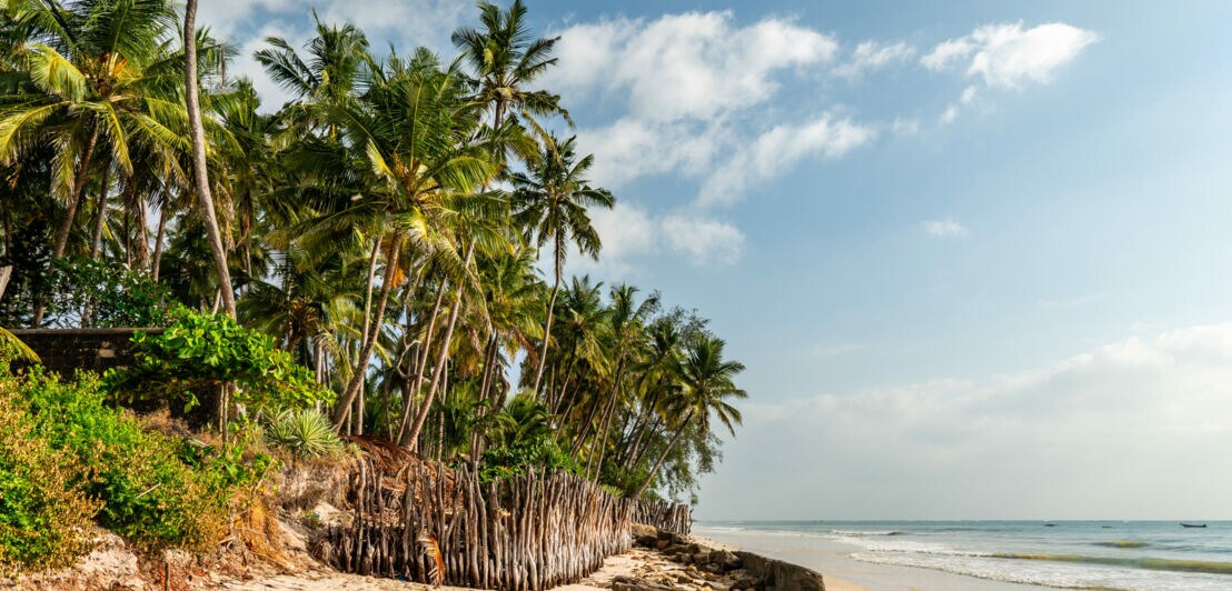 Sandstrand mit Palmen und einem Zaun aus Holzpfählen unter blauem Himmel mit Wolken
