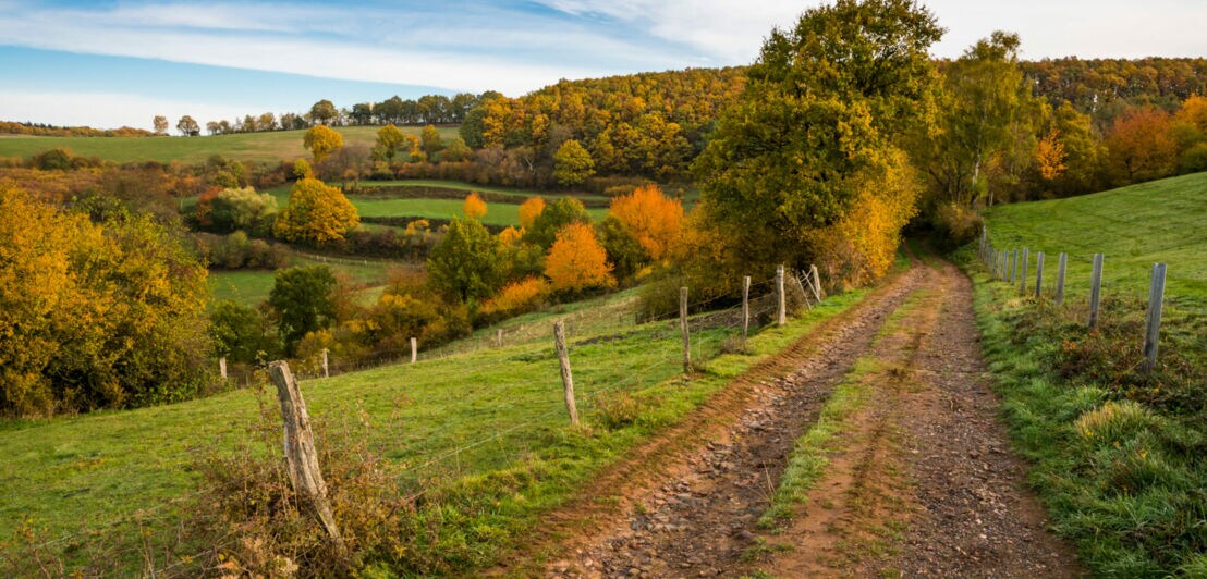 Ein Wanderweg, der entlang grüner Wiesen und Wälder führt.