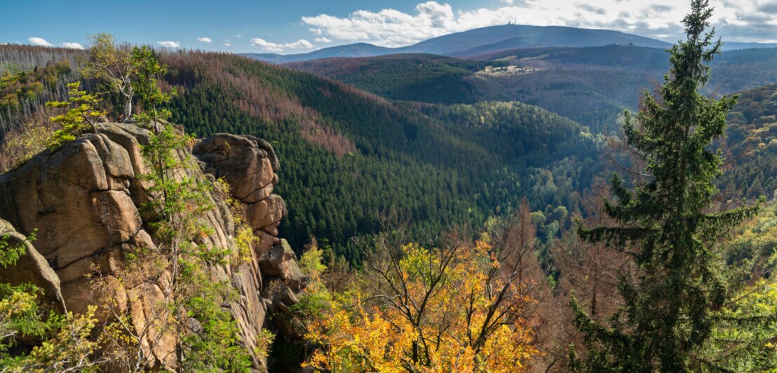 Wilde Landschaft im Harz.