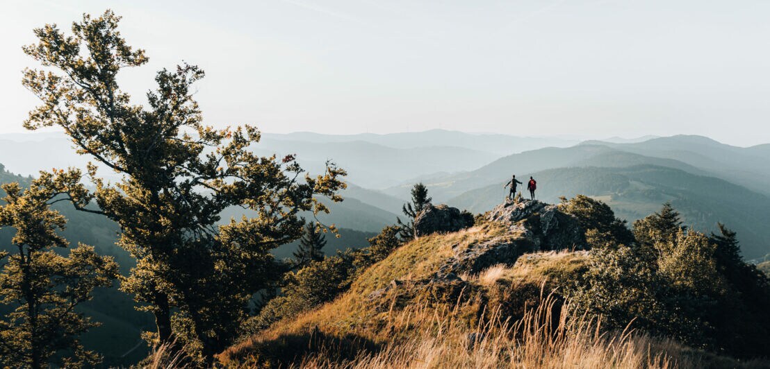 Zwei Personen stehen auf einem Felsen, im Hintergrund Gipfel im Schwarzwald.