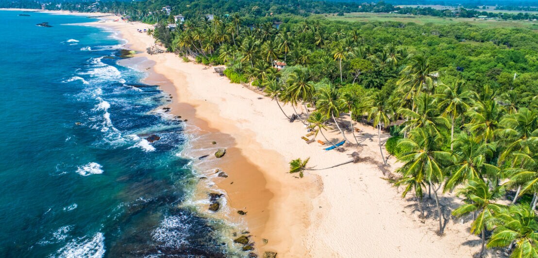 Luftaufnahme eines breiten Sandstrandes mit Kokspalmen am welligen Meer.